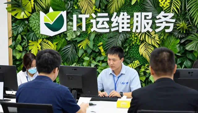 如何有效开展禽类养殖技术培训？